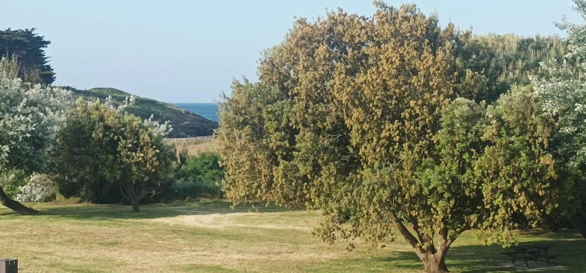 Appartement Vue Mer Exceptionnelle A 100M Tres Belle Plage Сен-Жильда-де-Рюи 0*,  Франция